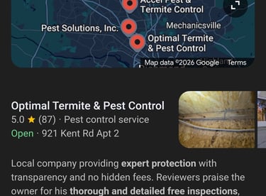 screenshot of Google AI recommending a clients pest control business in search results