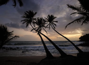 Lever de soleil aux îles du Salut en Guyane
