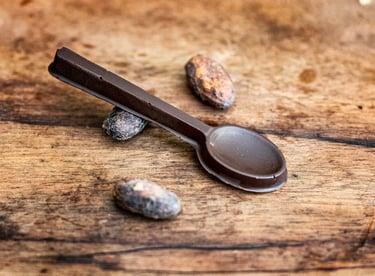 des produits en chocolat fabriqués à partir de fèves de Guyane