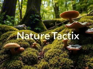 Moss and fungus thriving in a lush forest environment