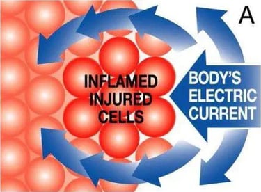 Graph showing how inflamed injured cells behave.