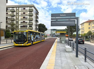 Metrobus Mondego Solum