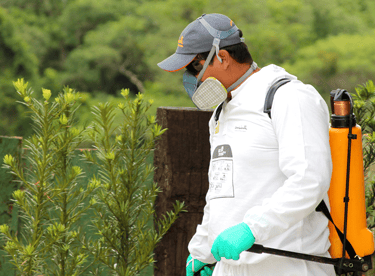 tecnico de dedetização