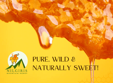 a honey comb prue wild natural honey yammy in Ooty 