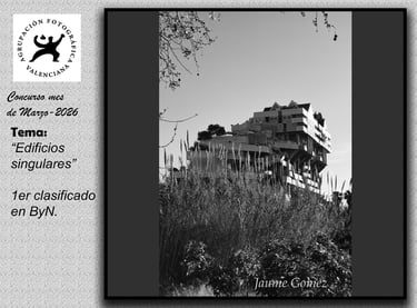 Ganador Concurso Mensual Marzo 2016 BN