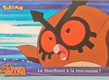 Snaps11 Le hoothoot à la rescousse ! série 3 Jotho