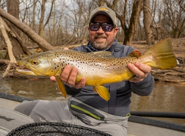Watauga River Big Brown Trout in March 2025