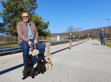 Eleveur Schnauzer miniature en promenade