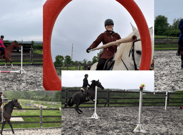 semináře working equitation podlesí u příbrami