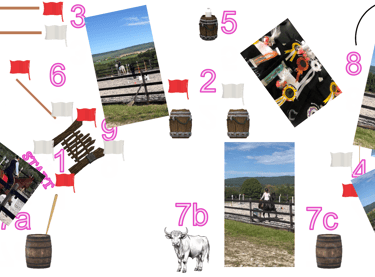 a collage of photos of a horse and a barrel of wine