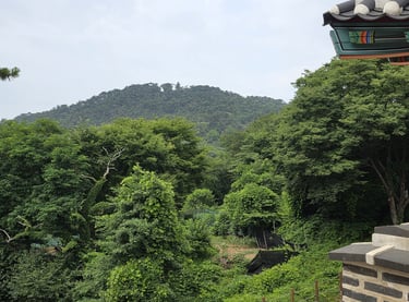 View from the north gate
