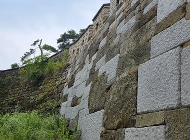 Wall view