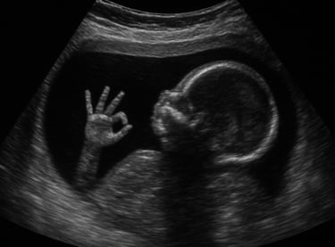 Illustration - journée mondiale du Spina Bifida et de l'hydrocéphalie.