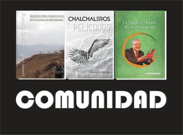Botón Comunidad (con imágenes de tapas de Libros)