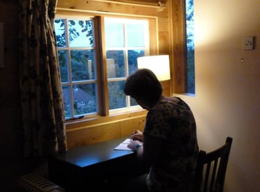 Writer on Monica Suswin's website