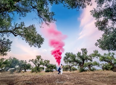 gender reveal