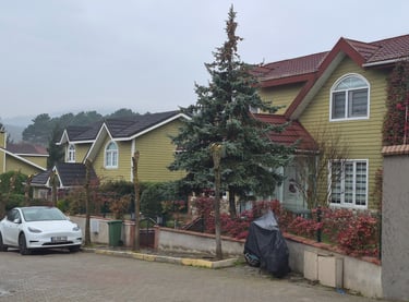 İstanbul-Çekmeköy-Grenland Sitesi