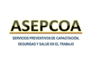 ASEPCOA SEGURIDAD INDUSTRIAL PARTNER STERVNOVA