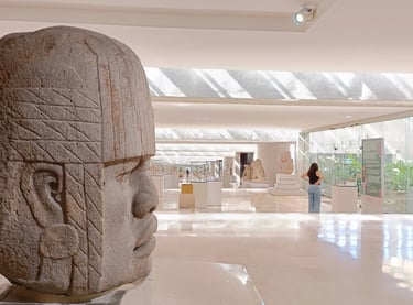 Cabeza Colosal Olmeca Xalapa Patrimundi