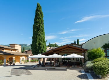 cantina valentina cubi per MyVinapp