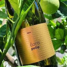 A bottle of Čara Pošip 2019 white wine nestled among green leaves and citrus fruit.