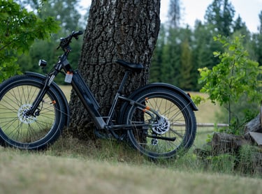 bike parked against a tree