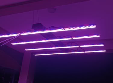 Customizable Spectrum Light