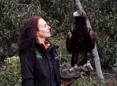 a woman holding a bird of prey in her hand