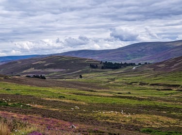 Cairngorms national park