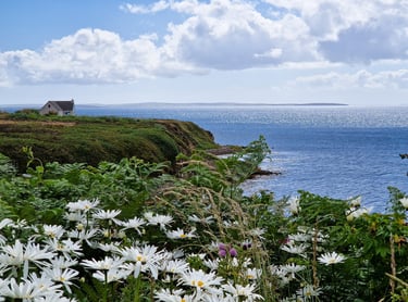 Waulkmill Bay