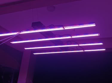 Customizable Spectrum Light