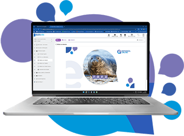 Como funciona o curso de Espanhol Online