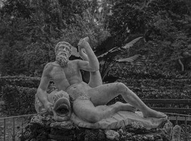 10 Clasificado Concurso Mensual Enero 2026 BN