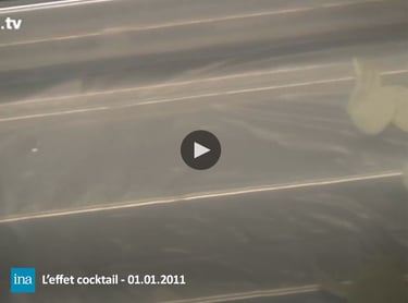 Pesticides l'effet cocktail