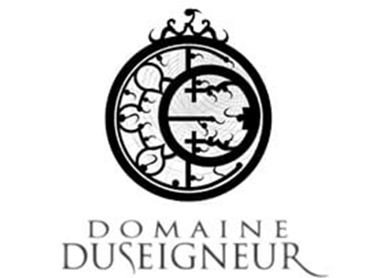 Logo Domaine Duseigner vino francese Vallè De Rhône