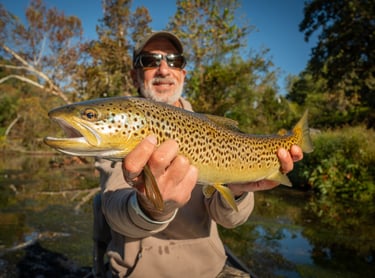 Fall Fly Fishing in Tennessee 