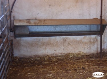 Bebedero adosado a pared SERNA DISTRIBUCIÓN MATERIAL GANADERÍA Y CERCADOS, OVINO PRODUCTOS