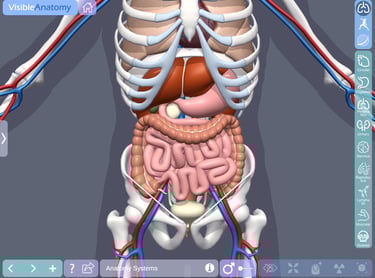Ipad Medical App
