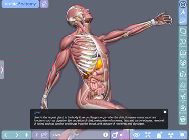 Ipad Medical App
