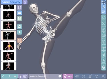 Ipad Medical App