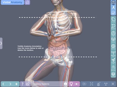 Ipad Medical App