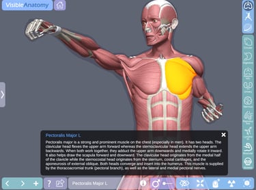 Ipad Medical App