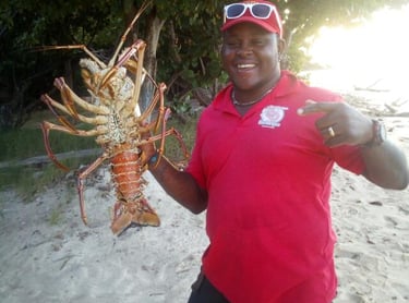 Romeo Lobster
