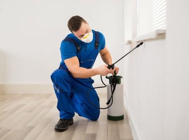 We make sure to spray every area of your home or business.