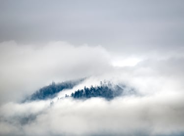 paysage d'hiver des Vosges - photo vincent ganaye