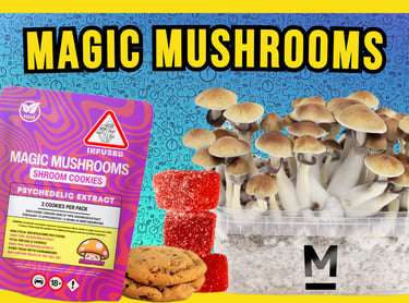 A package of magic mushroom cookies next to fresh psilocybin mushrooms and red gummy edibles.