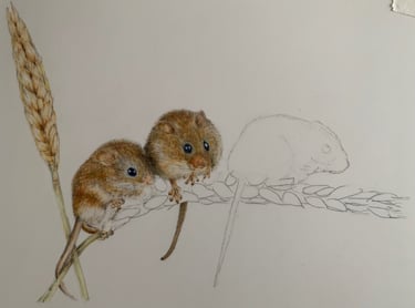 Mice