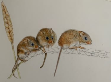 Mice