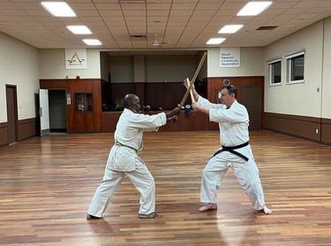 daito shoto kenjutsu