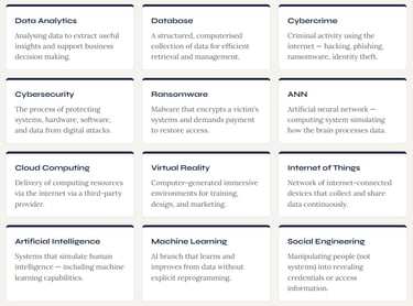 IB Business Management Information Systems Key Terms Cheat Sheet